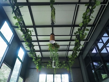 the nest hotel by ploy