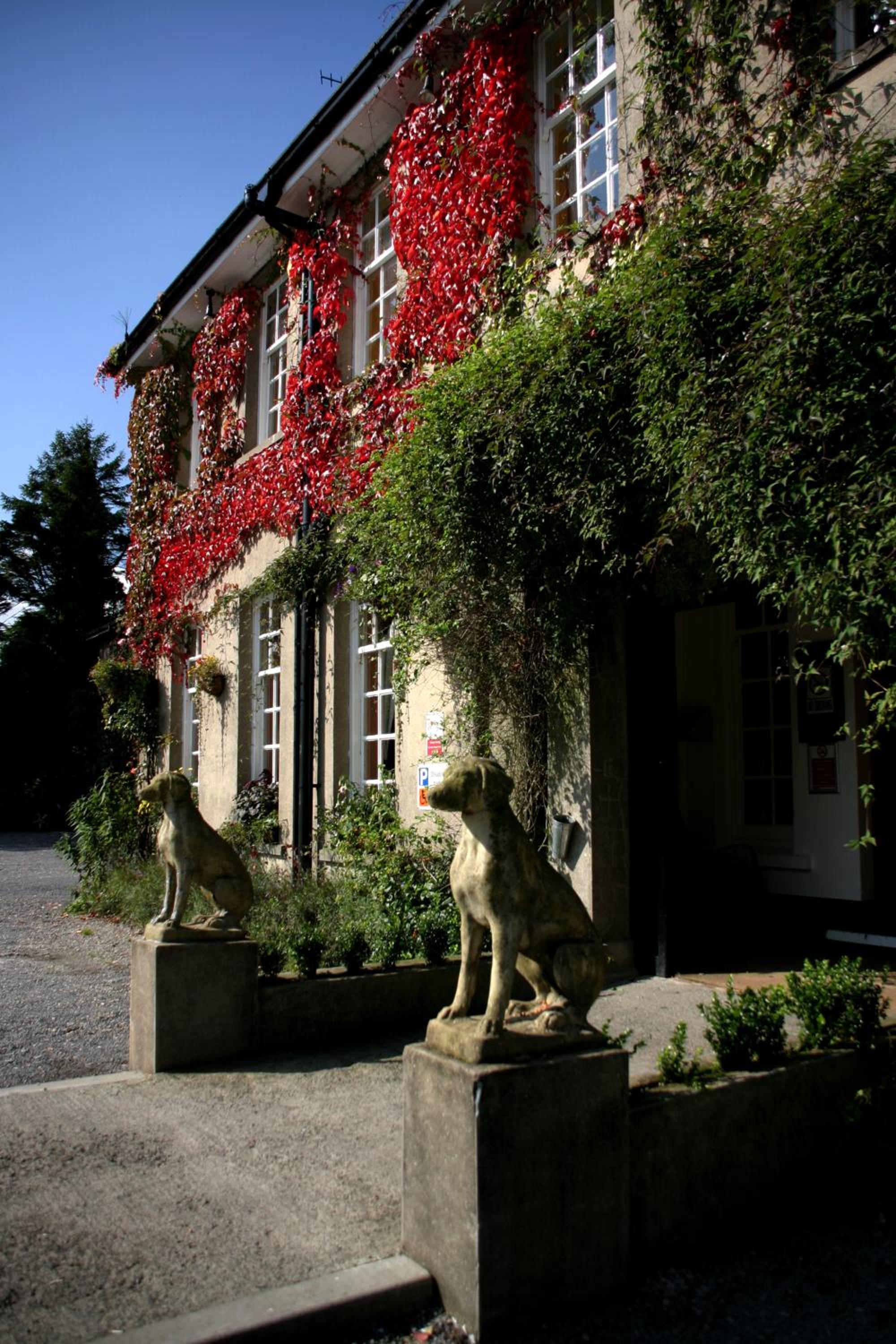 ty newydd country hotel