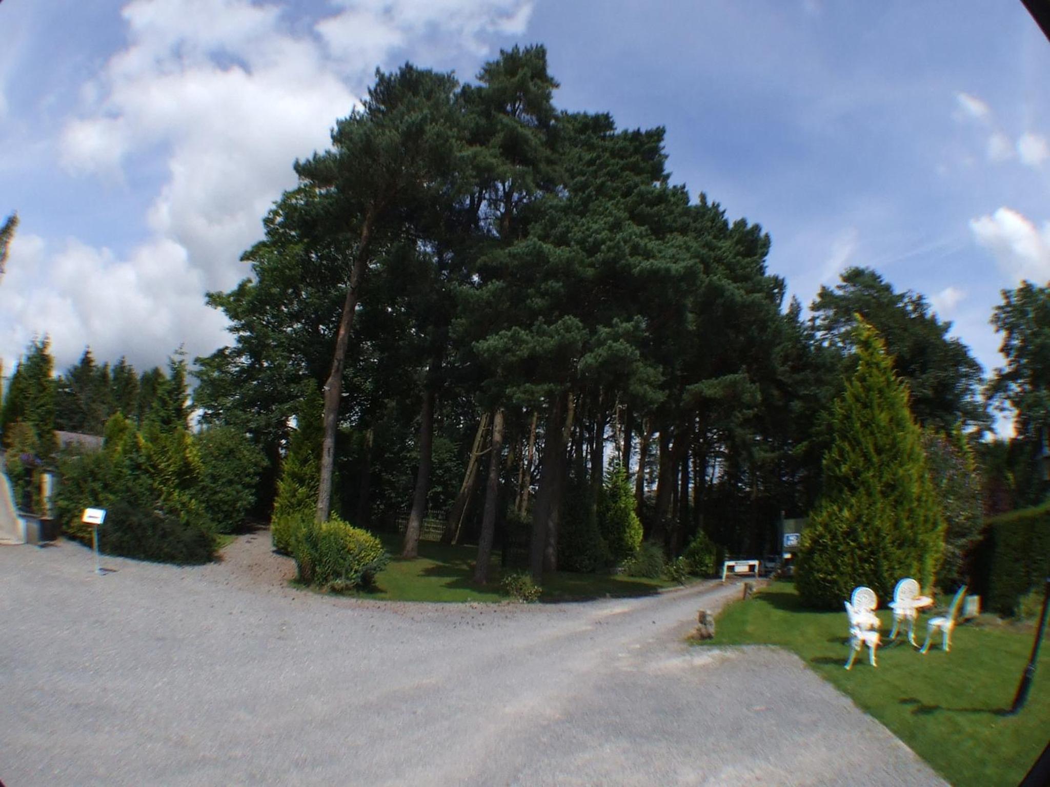 ty newydd country hotel