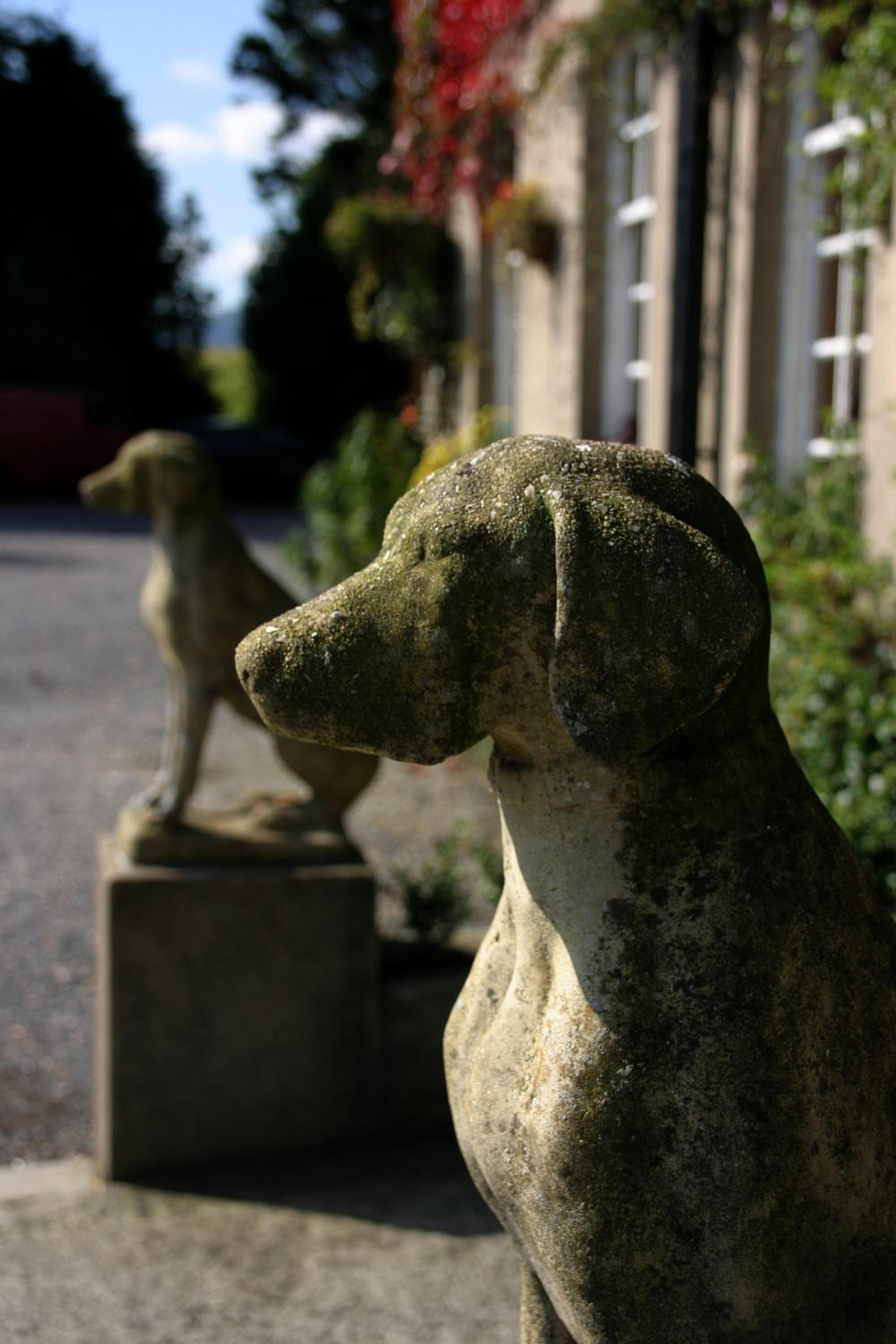 ty newydd country hotel