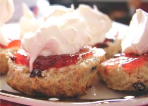 Ty Newydd Country Hotel,Brecon>>Aberdare,3 star