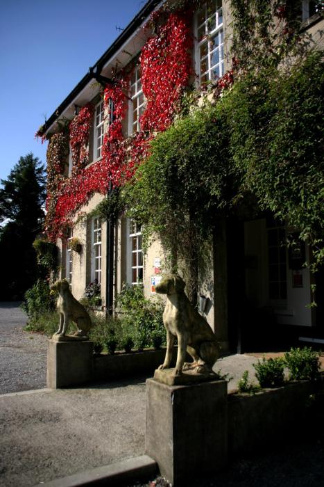 ty newydd country hotel