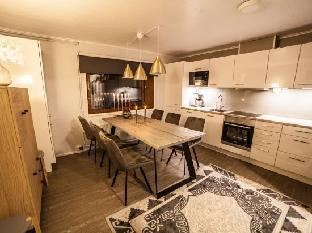 the elegant haistila