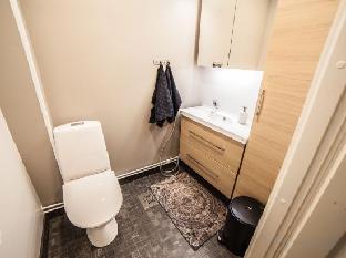 the elegant haistila