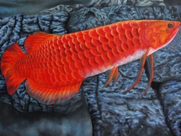 arowana hotel