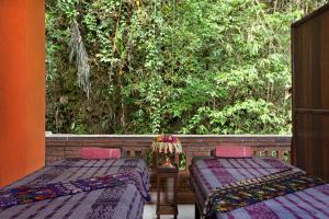 ketuts place bed and breakfast ubud