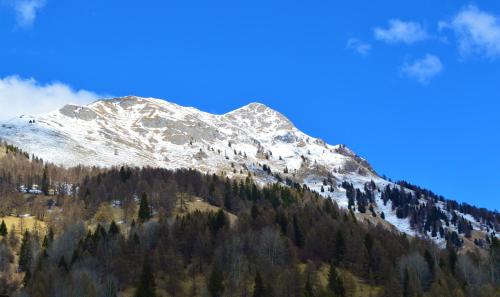 hotel stella alpina