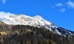 hotel stella alpina