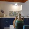 bandb l alcova
