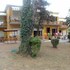 residence le rose