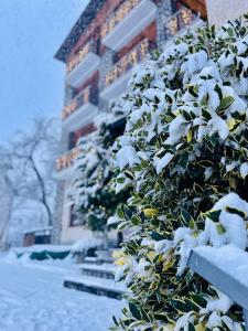 hotel miramonti family and spa