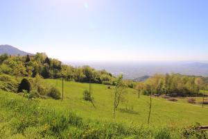 schio