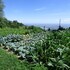damarco alloggio turistico locanda