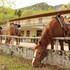 damarco alloggio turistico locanda