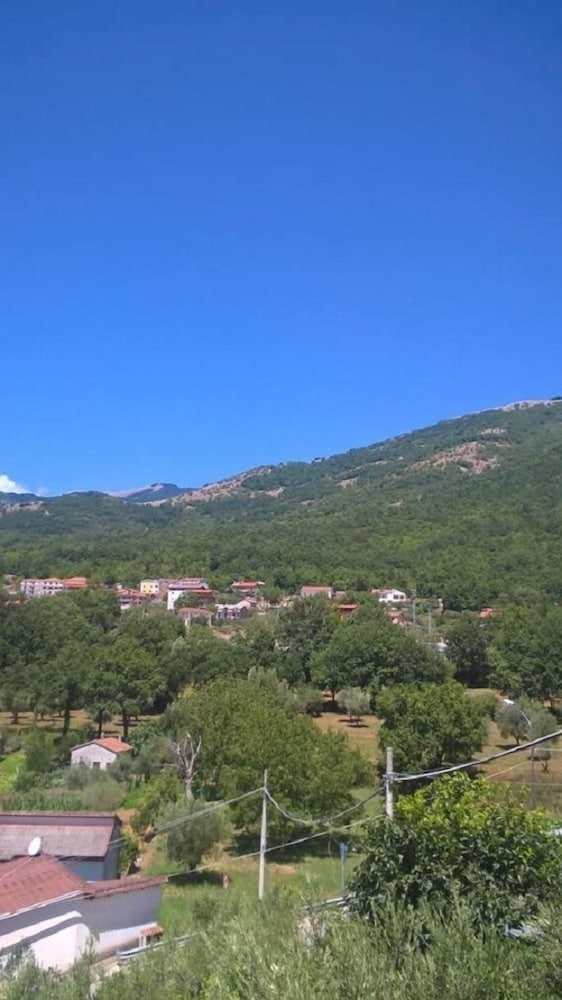 sanza