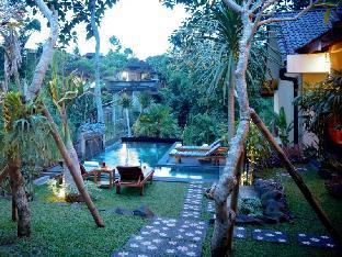 desak putu putra hidden