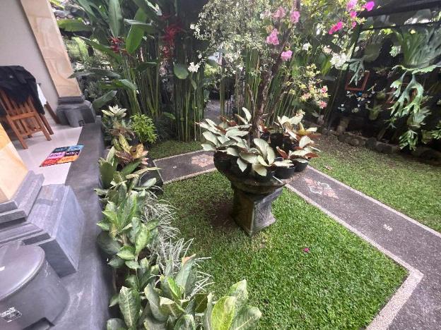 suryadina guest house