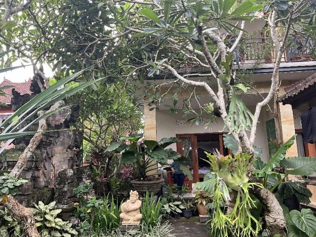 suryadina guest house