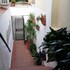 alassio