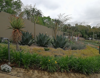 at 98 on lynburn guest house