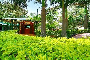 hotel samiralok mount abu