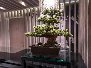 hotel ann asakusa