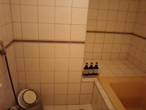 hotel sting adults only