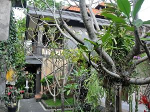 pancer house