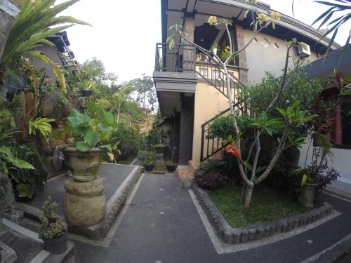 pancer house