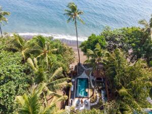 octopus villas
