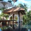 octopus villas
