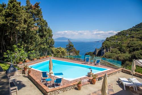 suite villa carolina