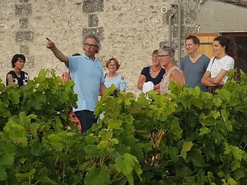 le coeur des vignes