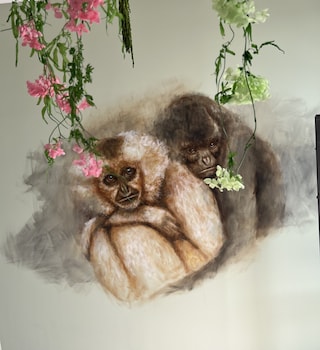 le manoir dalice chambre dhotes