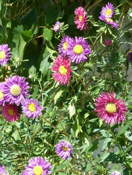 chambres dhotes au bo voyage