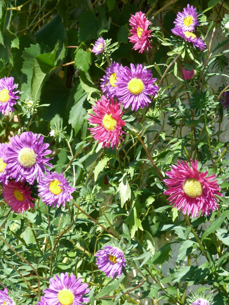 chambres dhotes au bo voyage