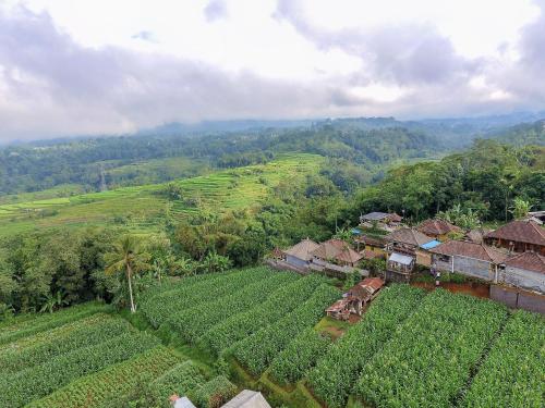 pondok nyoman