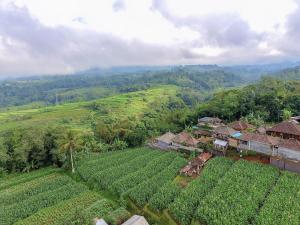 pondok nyoman