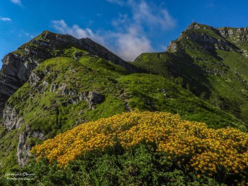 antica locanda la posta