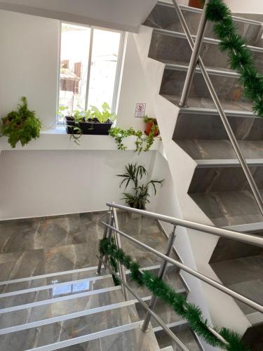 patty house galapagos