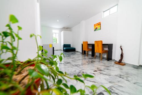 patty house galapagos