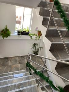 patty house galapagos