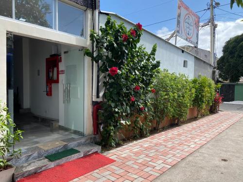 patty house galapagos