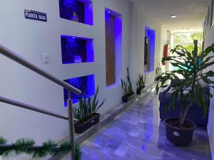 patty house galapagos