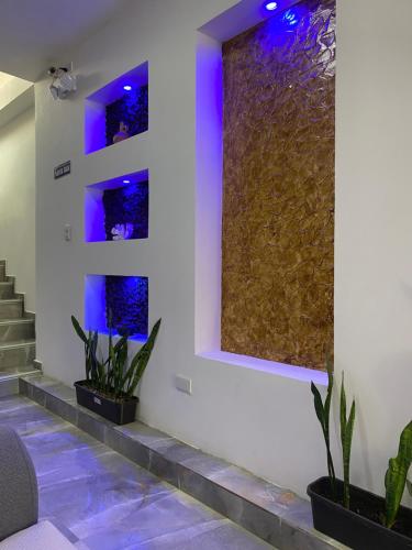 patty house galapagos