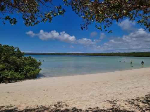 patty house galapagos