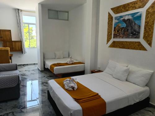 patty house galapagos