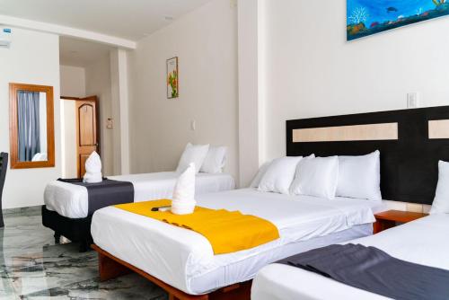 patty house galapagos