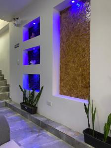 patty house galapagos