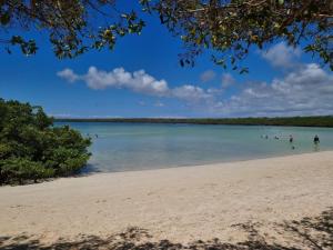 patty house galapagos